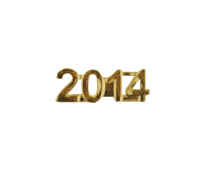 2014 Metal Insert, Gold - Box of 25