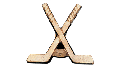 Ice Hockey Sticks X Metal Insert, Gold - Box of 25