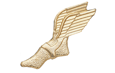 Wing Foot Metal Insert, Gold - Box of 25