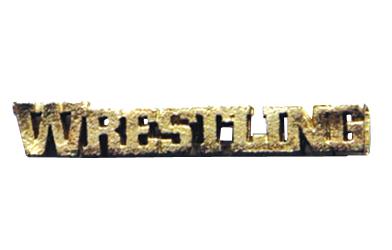 Wrestling Metal Insert, Gold - Box of 25