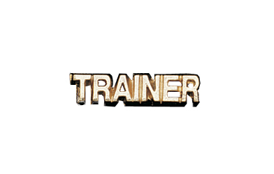 Trainer Metal Insert, Gold - Box of 25