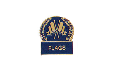 Crossed Flags Blue Enamel Award Pins