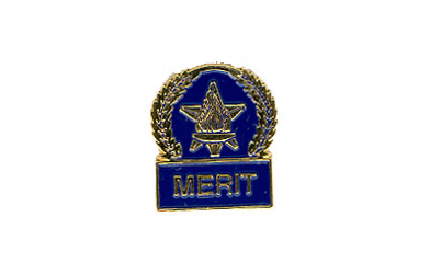 Star & Torch Merit Pin with Blue Enamel Fill
