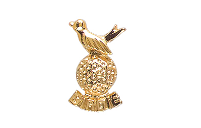 Golfer's Birdie Specialty Pin, Gold