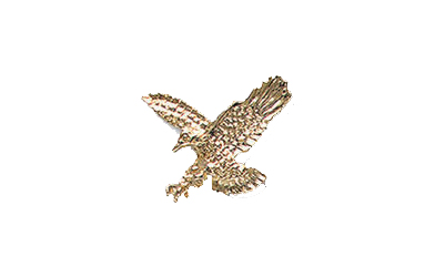 Eagle in Flight Pin, Gold Tone Metal