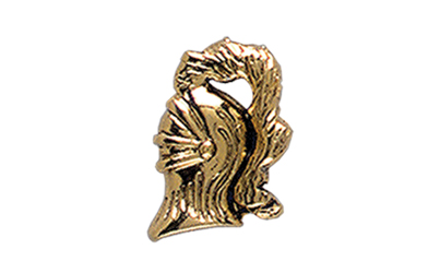 Knight Head Pin, Gold Tone Metal