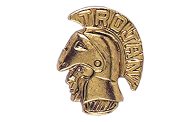 Trojan Head Pin, Gold Tone Metal