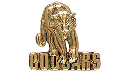 Cougar with Cougars Pin, Gold Tone Metal