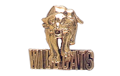 Wildcat with Wildcats Pin, Gold Tone Metal