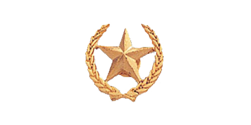 Star Pin, Gold