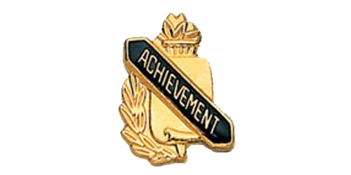 Achievement Scroll Shape Pin, Gold
