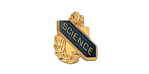 Science Scroll Shape Pin, Gold