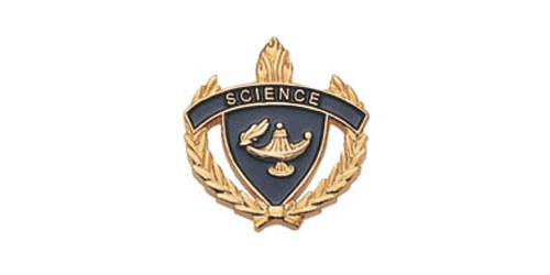 Science Torch & Wreath Pin, Gold