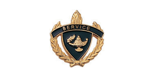 Service Torch & Wreath Pin, Gold
