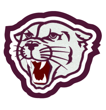 Cougar Patch 6