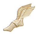 Wing Foot Metal Insert, Gold - Box of 25
