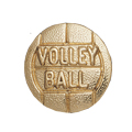 Volleyball Metal Insert, Gold - Box of 25