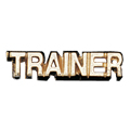 Trainer Metal Insert, Gold - Box of 25