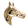 Horse Head Pin, Gold Tone Metal