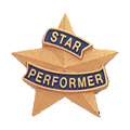 Star Performer Pin, Gold