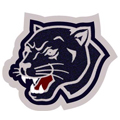 Panther Patch 6