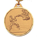 Karate Medal 1 1/4