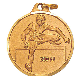 300 M Hurdles Medal (Male) 1 1/4