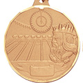 Swimming Medal 2