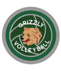 Volleyball Champion Patch 3