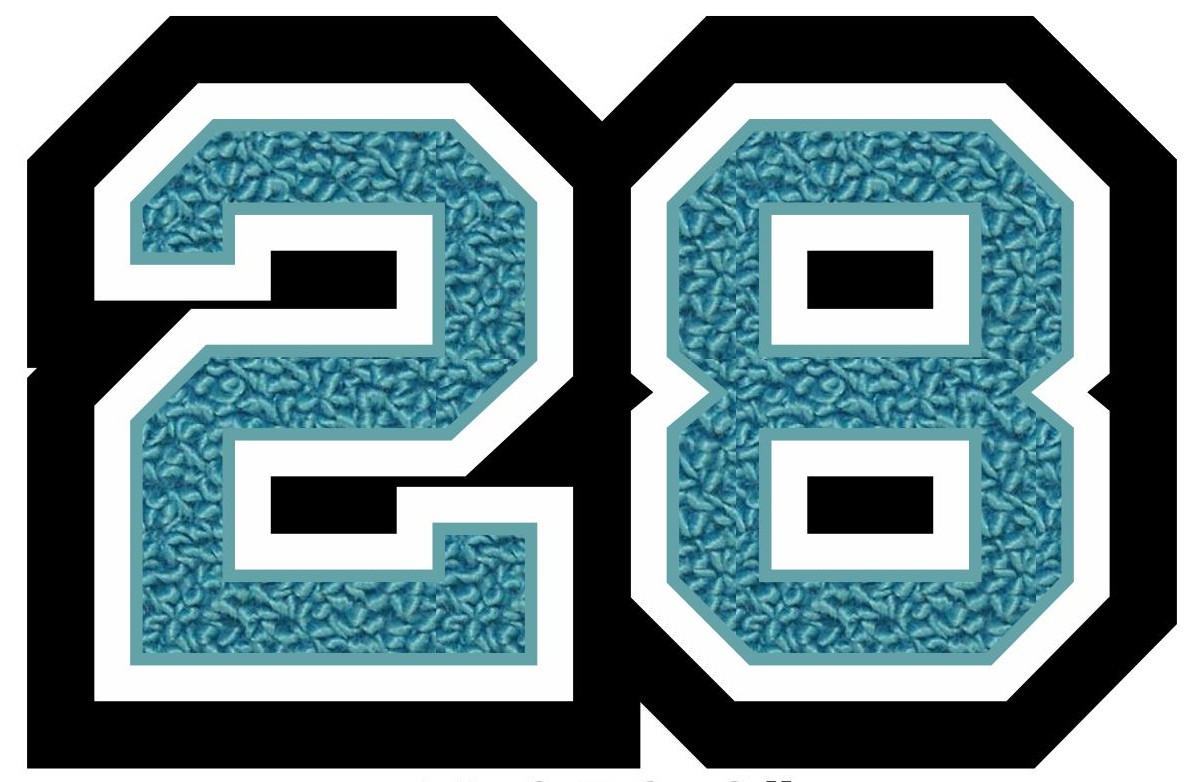 2028 Two Digit Graduation Year Patch, 2