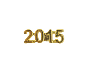 2015 Metal Insert, Gold - Box of 25