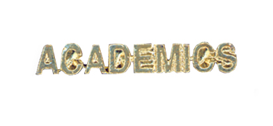 Academics Metal Insert, Gold - Box of 25