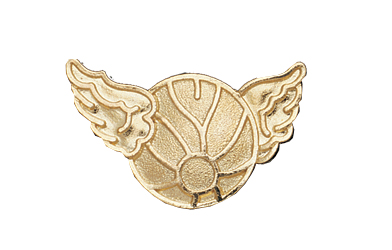 Water Polo with Wings Metal Insert, Gold - Box of 25