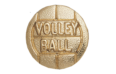 Volleyball Metal Insert, Gold - Box of 25