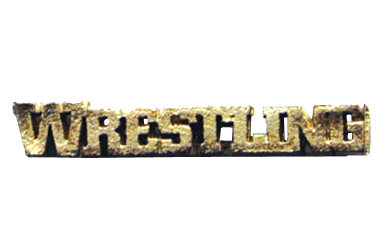 Wrestling pin hi-res stock photography and images - Alamy