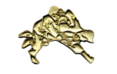 Judo Metal Insert, Gold - Box of 25
