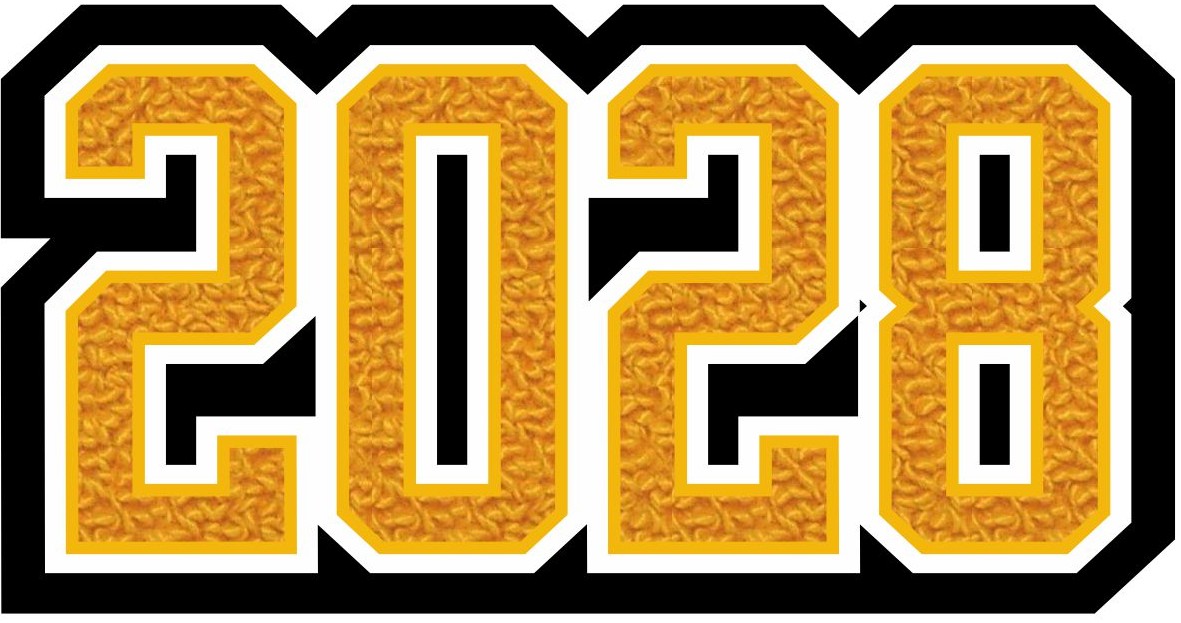 Grad Year Patch 2028, 3