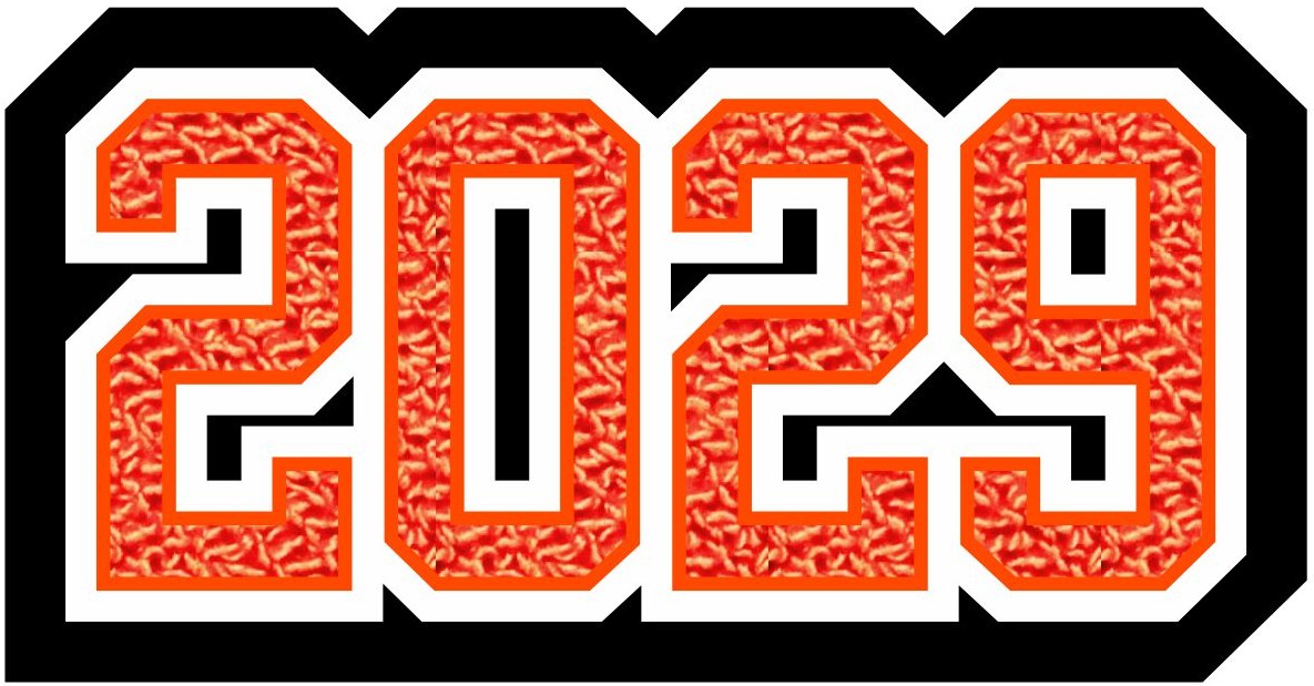 Grad Year Patch 2029, 2