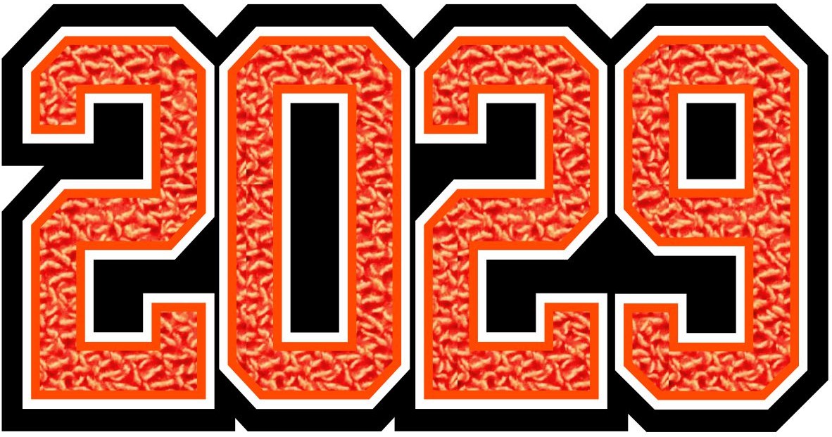 Grad Year Patch 2029, 4