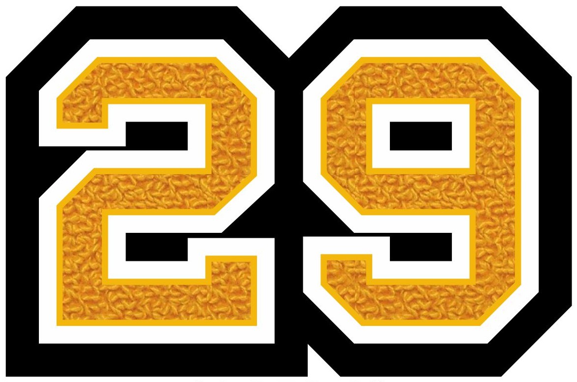 2029 Two Digit Graduation Year Patch, 2