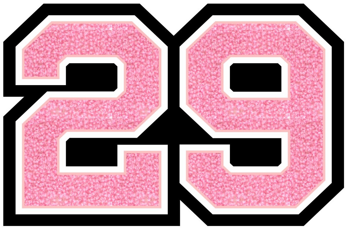 2029 Two Digit Graduation Year Patch, 4