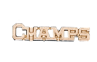 Champs Metal Insert, Gold - Box of 25