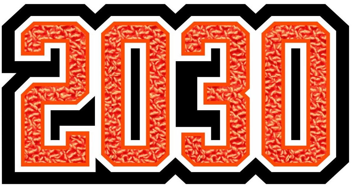 Grad Year Patch 2030, 3