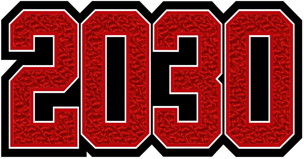 Grad Year Patch 2030, 4