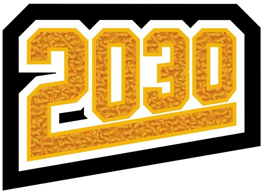 Grad Year Patch 2030 with Tail, 2