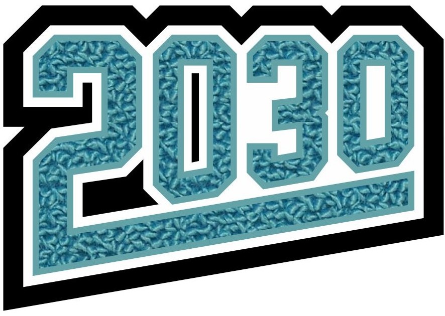 Grad Year Patch 2030 with Tail, 3