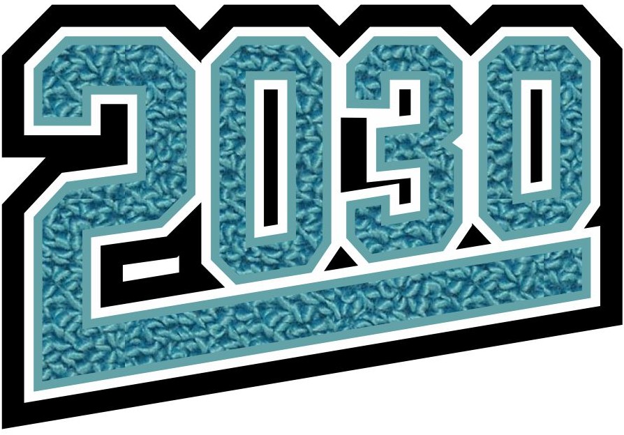 Grad Year Patch 2030 with Tail, 4