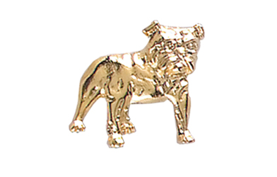 Bulldog Pin, Gold Tone Metal