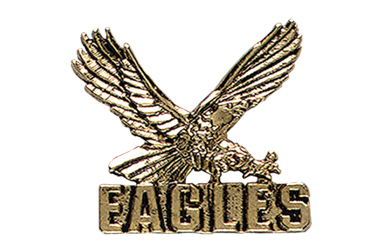 Eagle with Eagles Pin, Gold Tone Metal