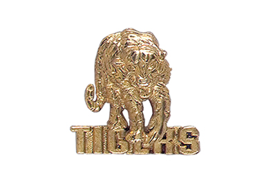 Tiger with Tigers Pin, Gold Tone Metal